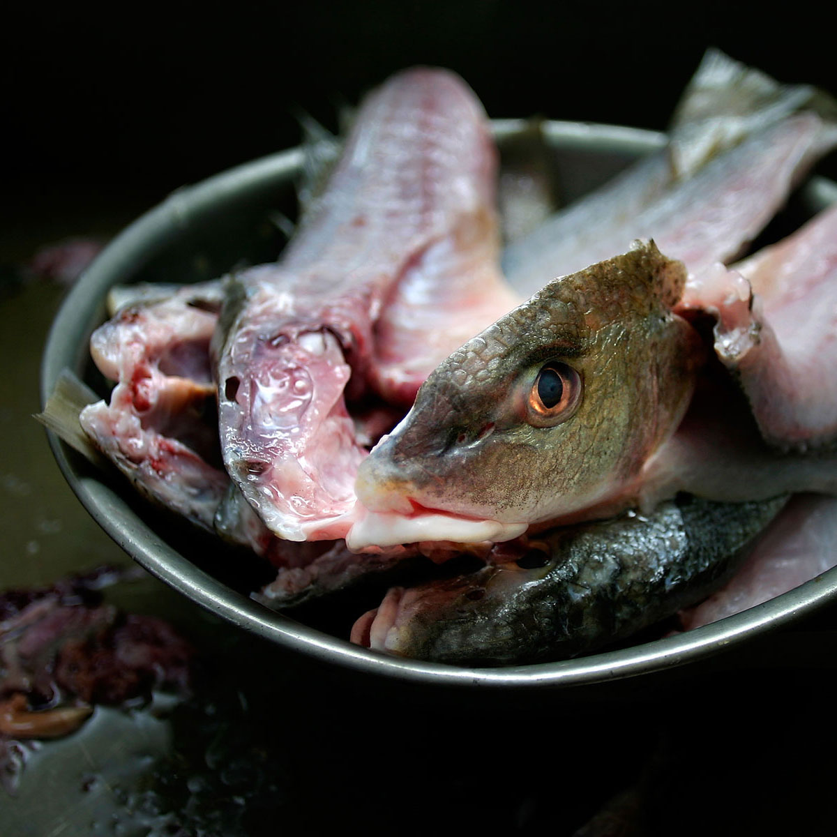 A bowl full of gutted fish, one of whose eyes glares at the camera