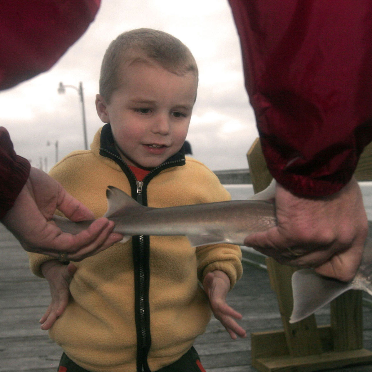A small blond boy looks eagerly at a fish a man holds up