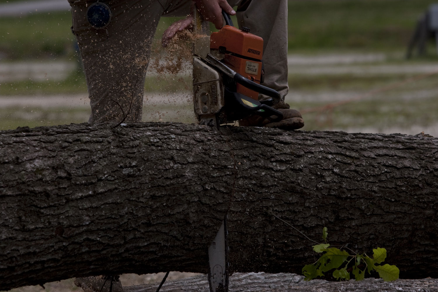 A chainsaw cuts through a log