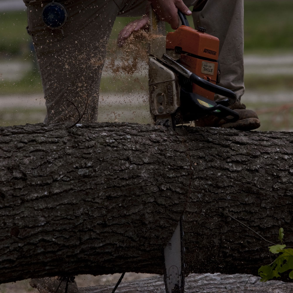 A chainsaw cuts through a log