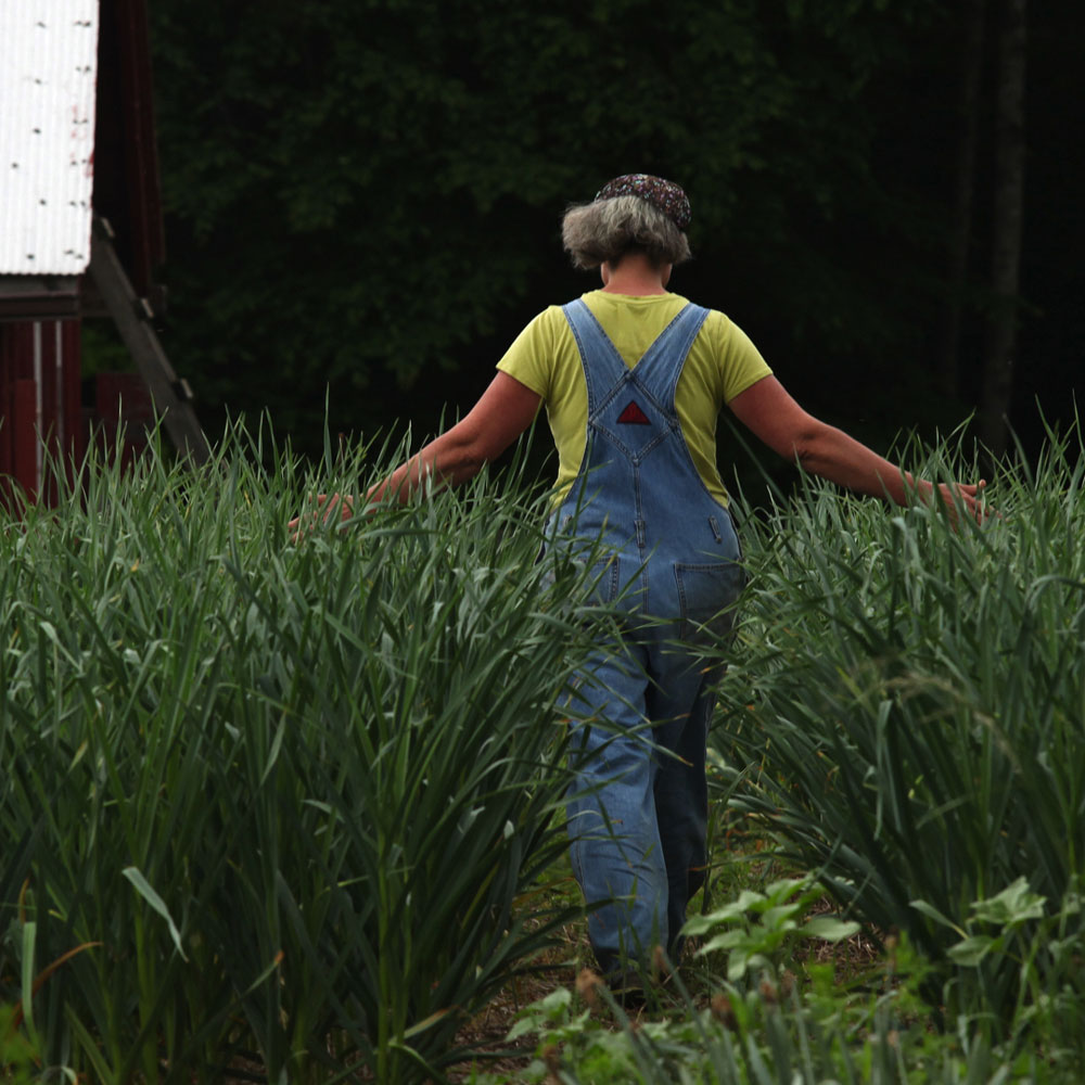 A woman in overalls walks through rows of tall grasses
