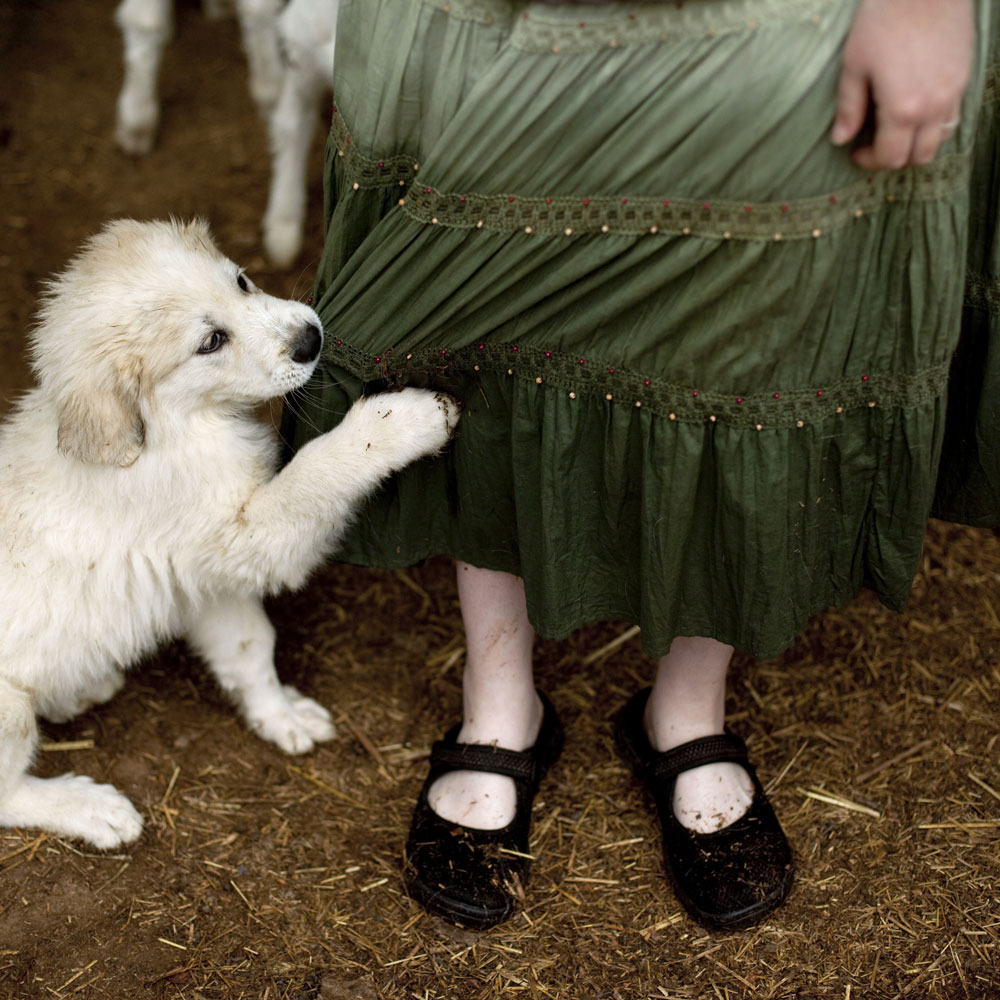A puppy tugs on a woman's green skirt