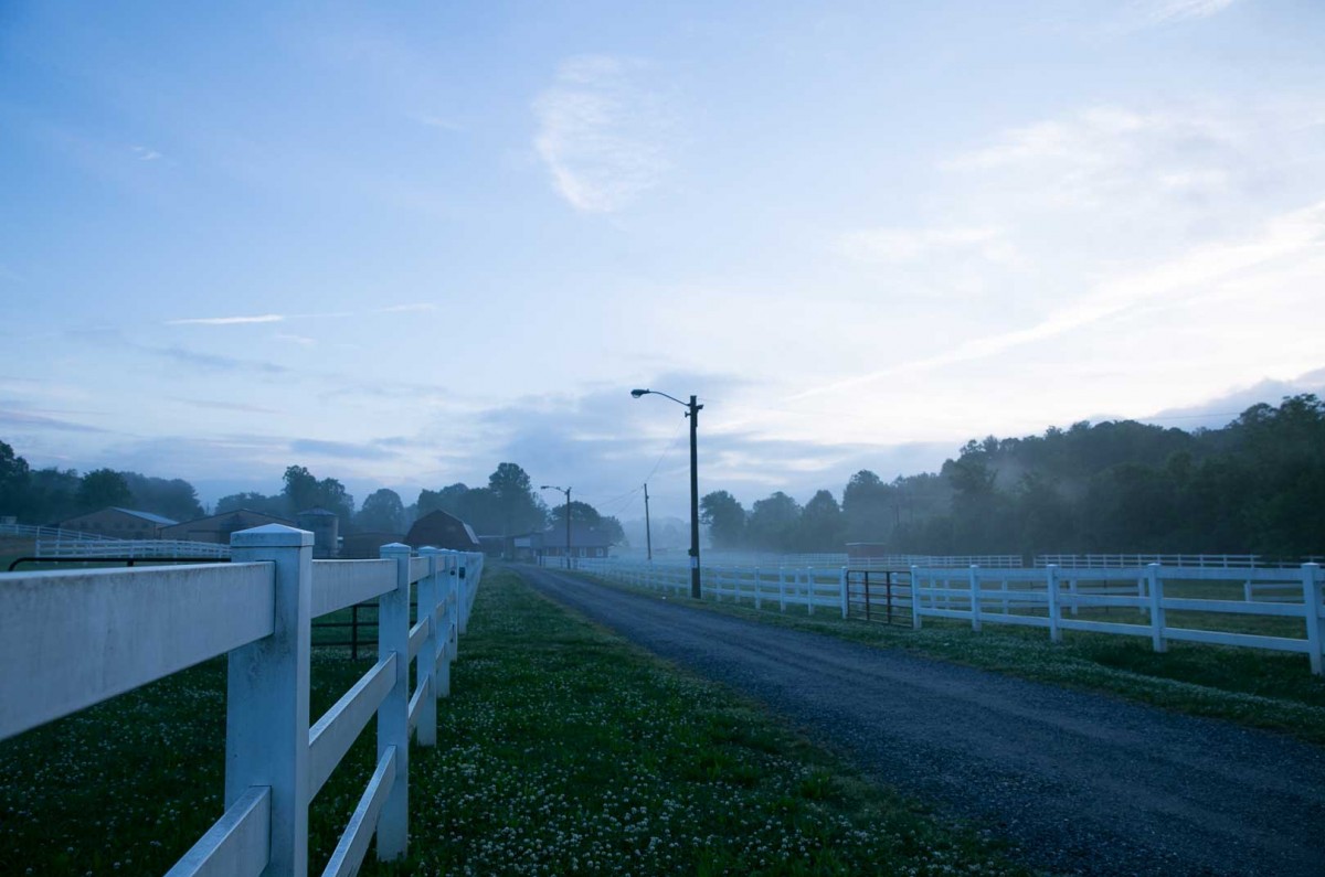 The work day starts at 6:30am on a late spring morning at Catawba Farms.