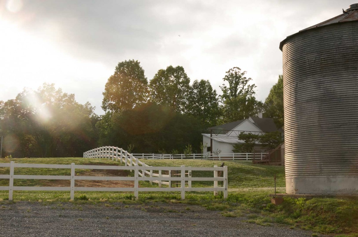 “We wanted to make a place that people could remember as having gone to in their youth,” Waltuch said. “A place where they could bring their own children and have that history, in a sense, repeat itself.”