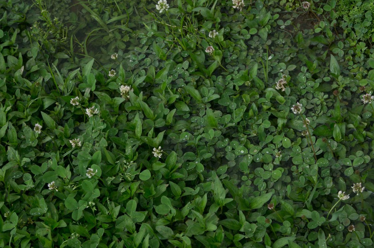 “I’m not about to prescribe anything for anyone,” Waltuch said. “This life, this work, is not for everyone...but we welcome you.”