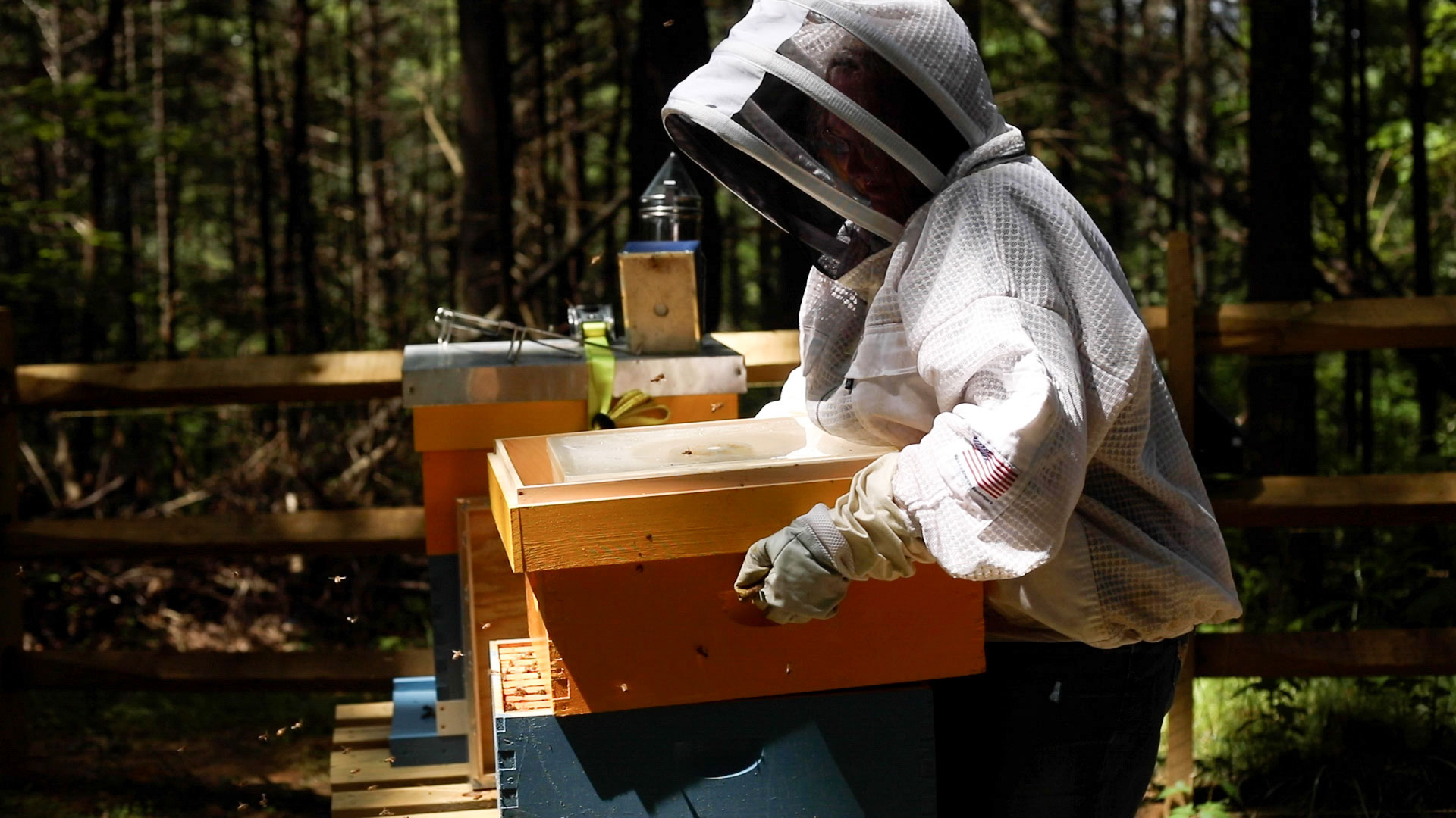Woman in a beekeeper's outfit pulls up a wooden box holding a hive