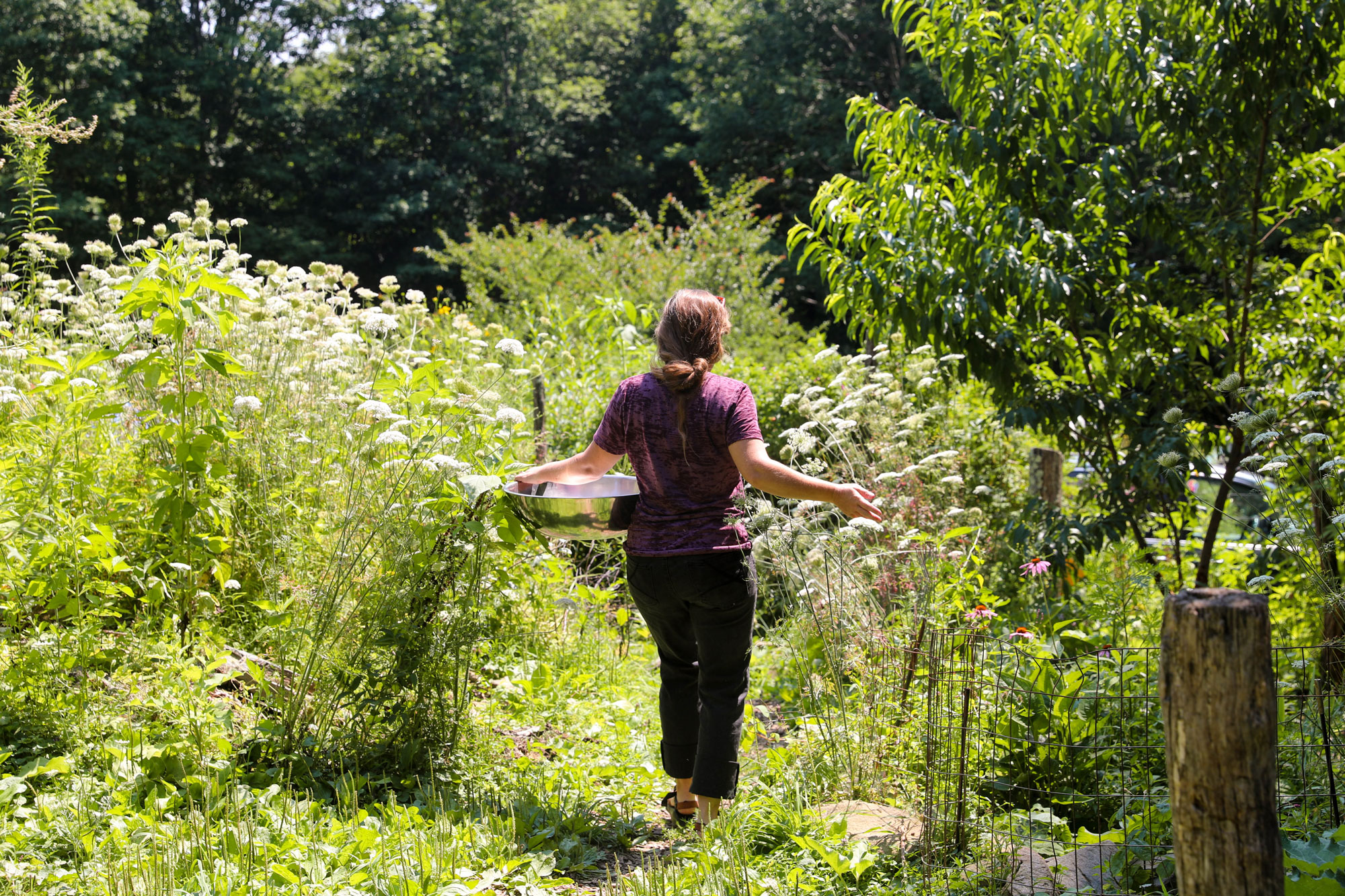 A woman holds a large bowl while passing her hands through a field of flowers