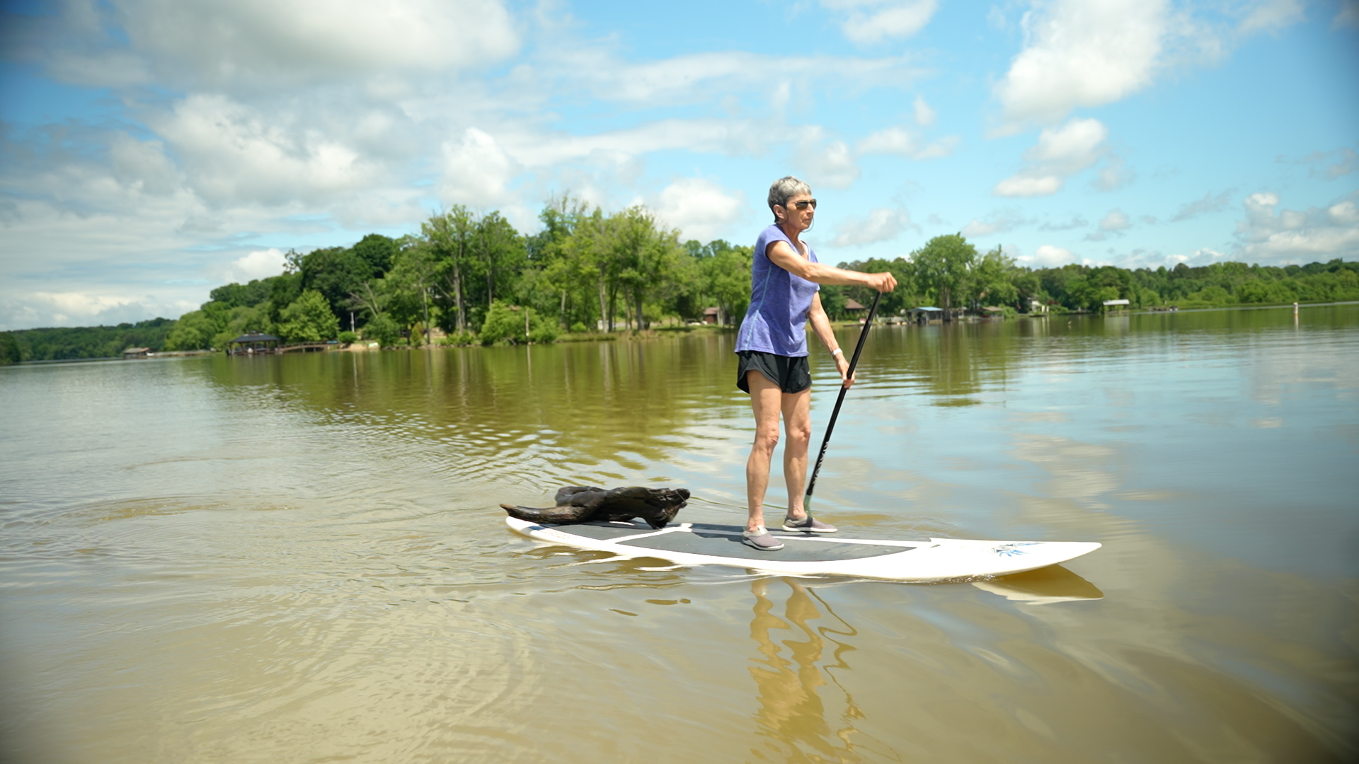 woman on a paddle board trailing wood