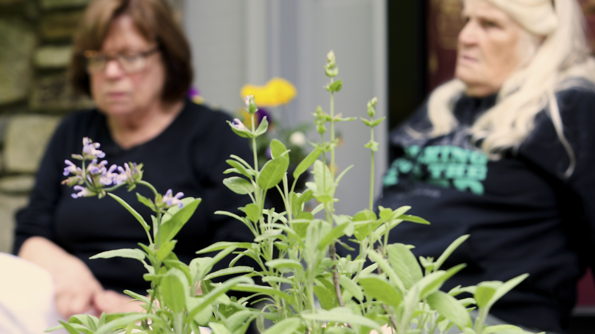 "It's the town that gets you through," said Schneider. The work she finds most valuable is connecting with the people of Chimney Rock.